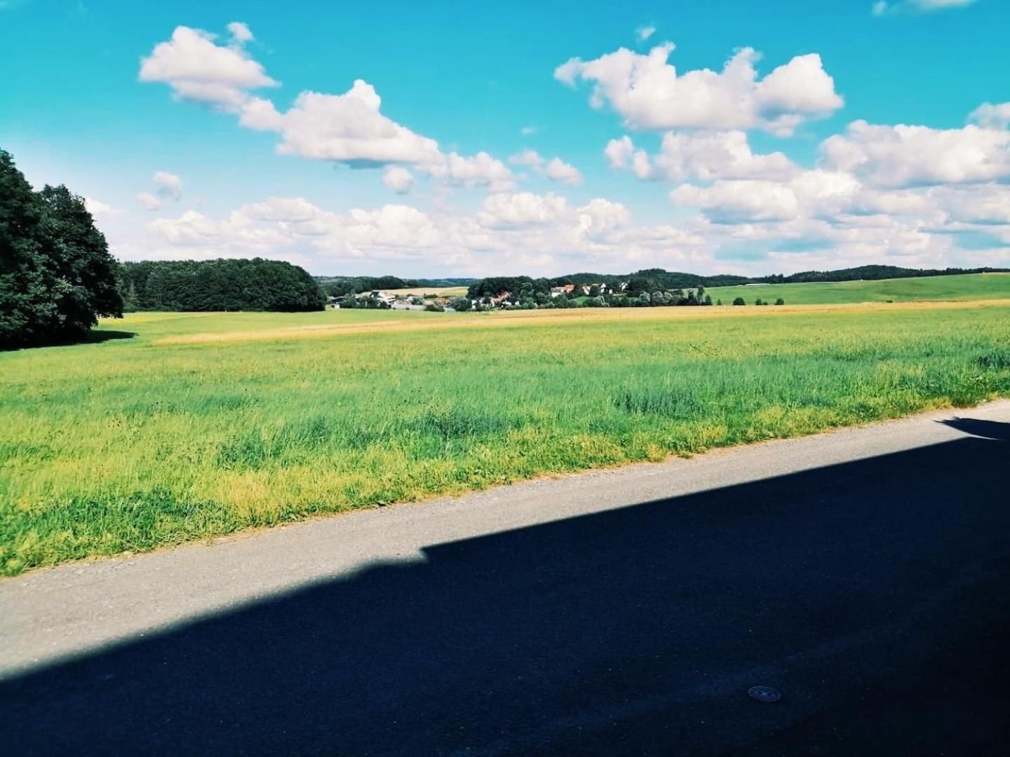 Apartmán 76 Qm Whg Im Eg Haus-Wohlfuehloase Vor Der Haustuer Gladenbach Exteriér fotografie